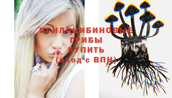 а пвп мука Пестово