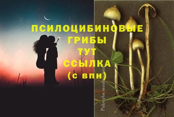 ешки Покачи