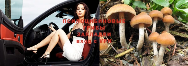 mix Абинск